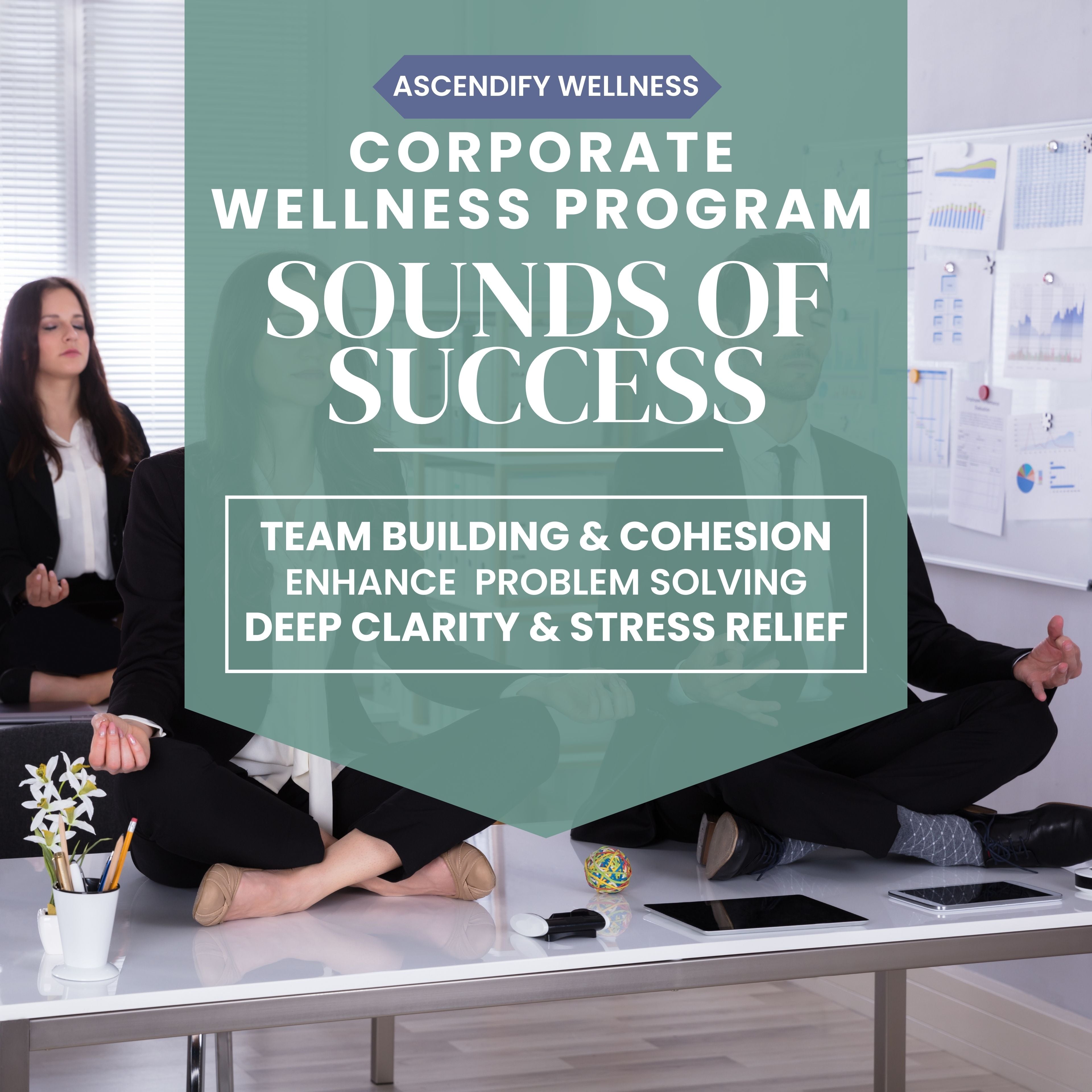 Corporate Wellness Program: Customized Sound Meditations